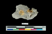 藏品(硫磺)的圖片